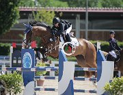 Danalis Lili Marlen CsioArJYR SS7 7066 : CSIO Giovani Arezzo, Danalis Anna Sophia, Lili Marlen, foto Stefano Secchi ©